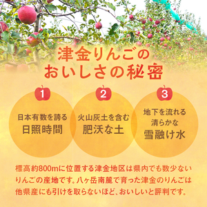 八ヶ岳南麓津金りんごジュース 1,000ml 2本入り [h337]