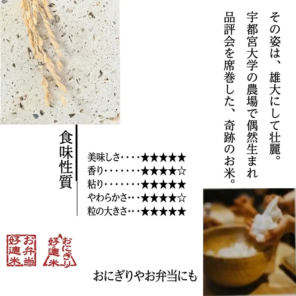 ゆうだい21 奇跡のお米 中郷産 ゆうだい21 5kg