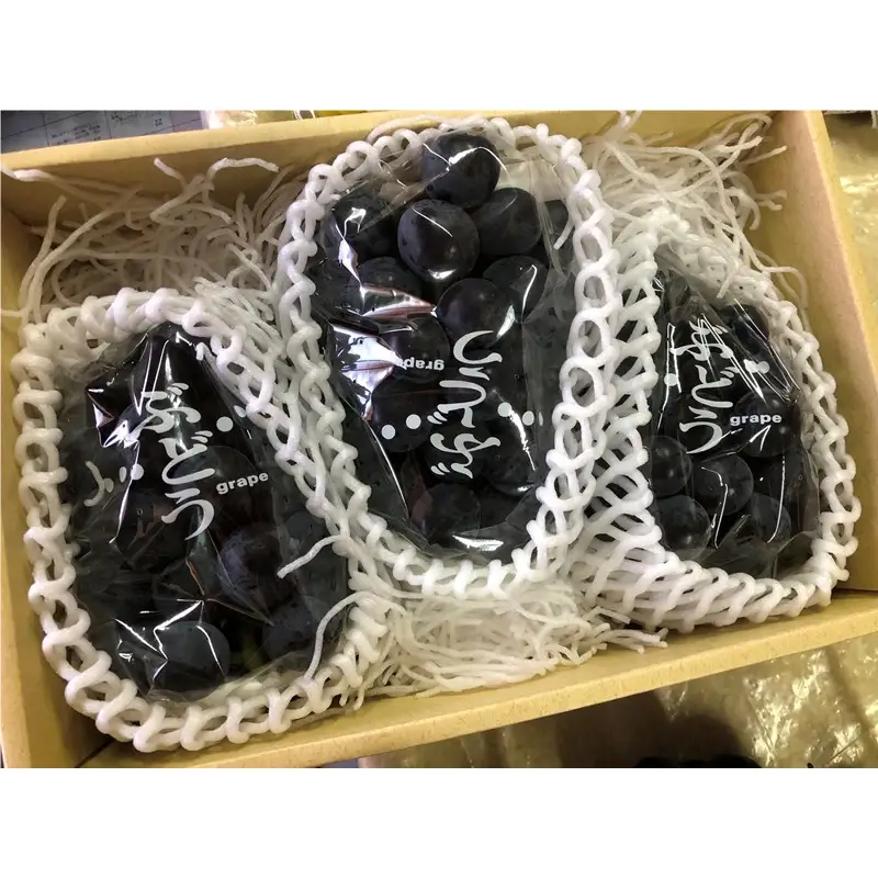 【先行予約】黒ぶどう詰め合わせ（1.5kg以上／3～4房）（2027年8月上旬～発送）　ふるさと納税 ぶどう ブドウ 葡萄 セット 詰め合わせ 期間限定 くだもの 果物 先行申込 農家応援 生産者応援 送料無料