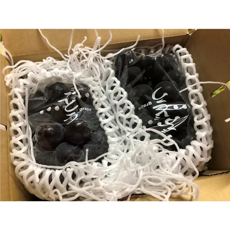 【先行予約】訳あり黒ぶどう2房入（900g以上）（2027年8月上旬～発送） ふるさと納税 ぶどう ブドウ 葡萄 セット 詰め合わせ 期間限定 くだもの 果物 先行申込 農家応援 生産者応援 送料無料