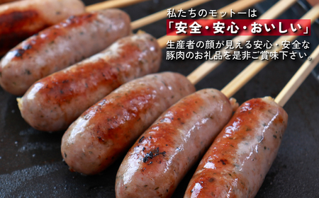 【訳あり】千葉県香取市産三元豚　粗挽きハーブフランクフルト 20本セット(総重量1.2kg)   / 三元豚 ハーブ フランクフルト 粗挽き 粗挽 ソーセージ あらびき 国産 豚肉 おかず つまみ バーベキュー アウトドア キャンプ パーティー お取り寄せ 千葉県 香取市 JLB001