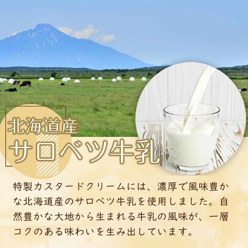 【定期便】梅屋名物「しゅうくりぃむ」　12個　（3回隔月発送） 【 シュークリーム 菓子 お菓子 おかし スイーツ デザート 洋菓子 旭川 北海道 人気 お楽しみ セット 食品 】_04856