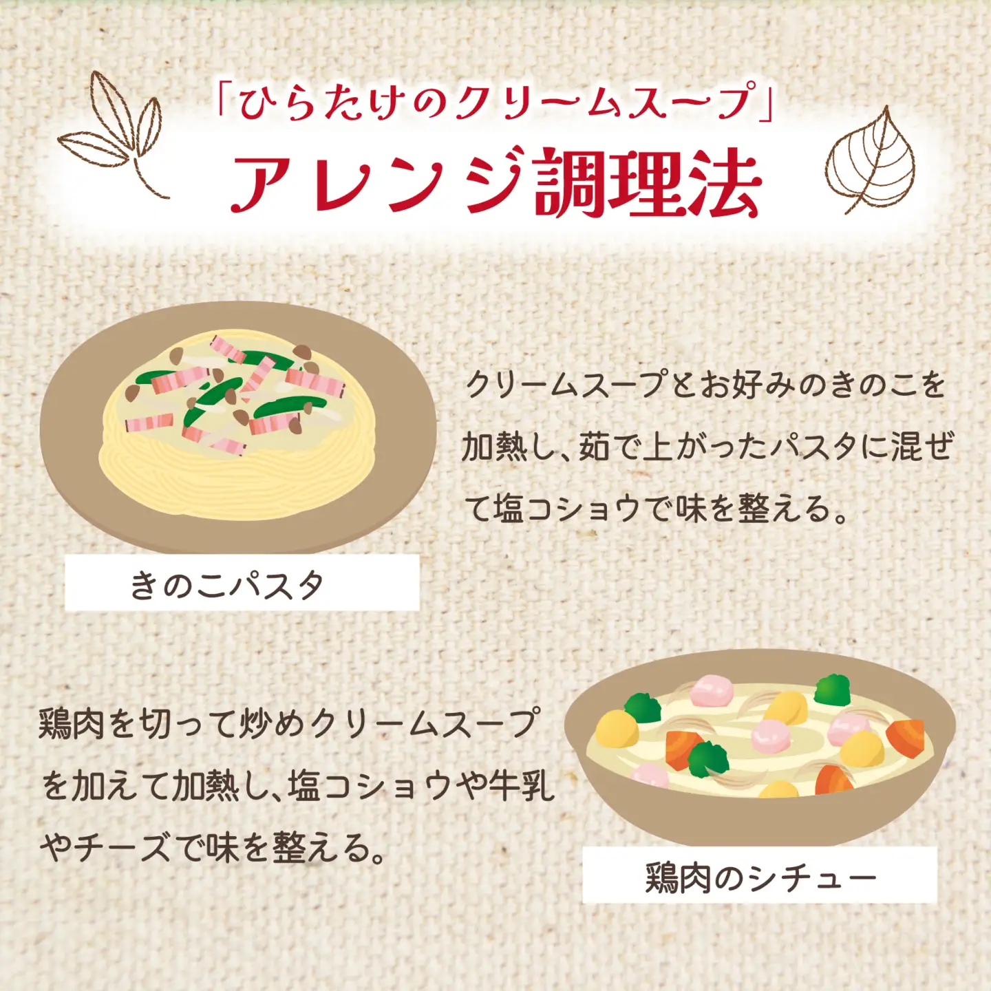 灰猫のひらたけクリームスープ 5箱 | 国産 食物繊維 ひらたけ 平茸 クリーム 濃厚