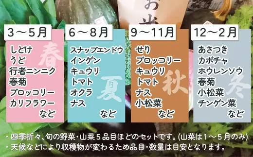 米野菜・山菜セット（5品目ほど）【115P3203】【ひない渡辺農園しどけ村】