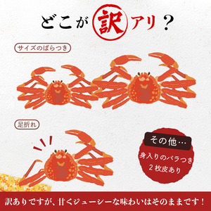 【訳あり】浜茹でオオズワイガニ 2kg 詰めセット 北海道噴火湾産 かに ずわい _HD206-001