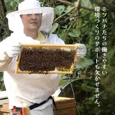 やんばるpure生蜂蜜(国産はちみつ) 甘い百花蜜 180g×4瓶【1581392】