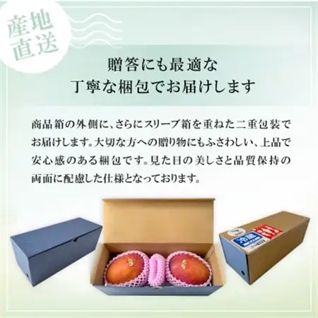 【2027年6月下旬から順次発送】かみざと農園の贈答用アップルマンゴー1kg【配送不可地域：離島】【1601771】