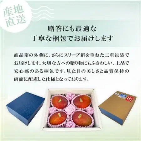 【2027年6月下旬から順次発送】かみざと農園の贈答用アップルマンゴー2kg【配送不可地域：離島】【1601772】