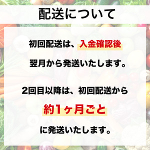 【野菜 定期便 12回】選りすぐり 旬の京野菜 詰め合わせセット