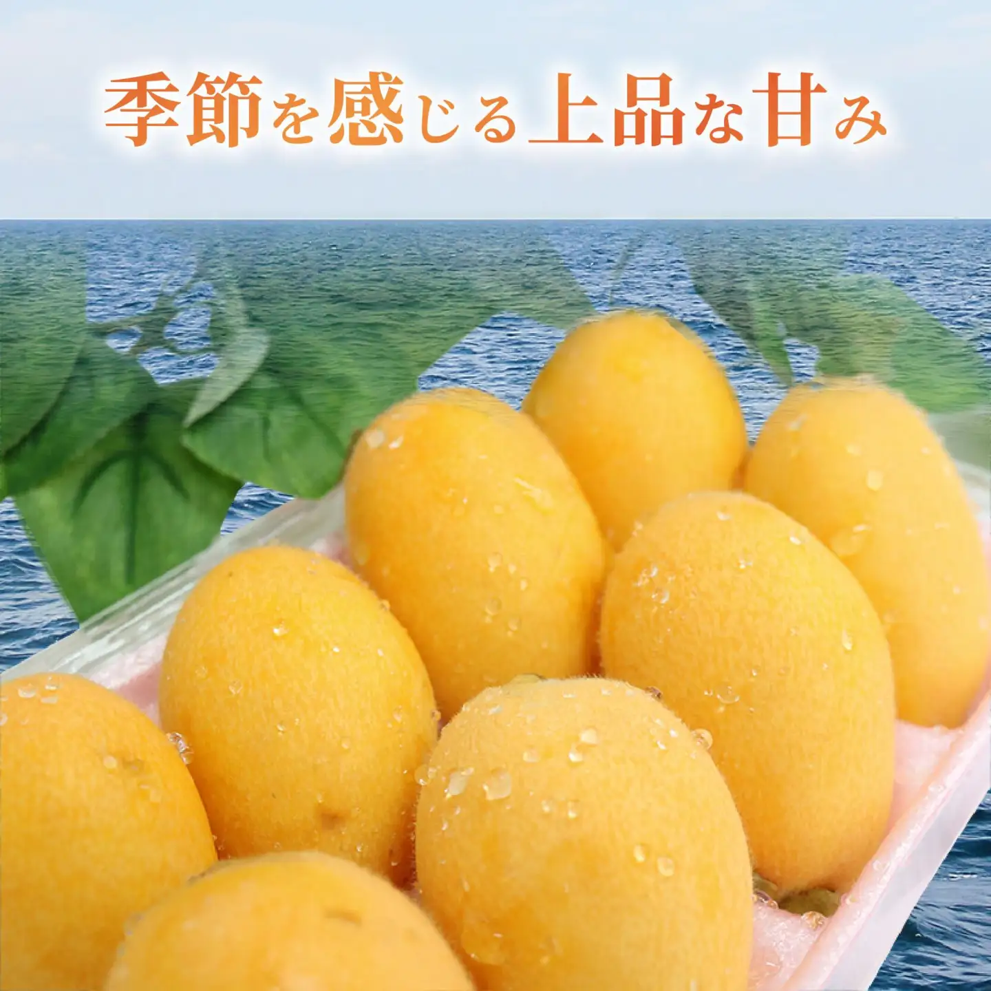 【先行予約】 びわ 16～20玉 【小粒中粒】 びわ rk037