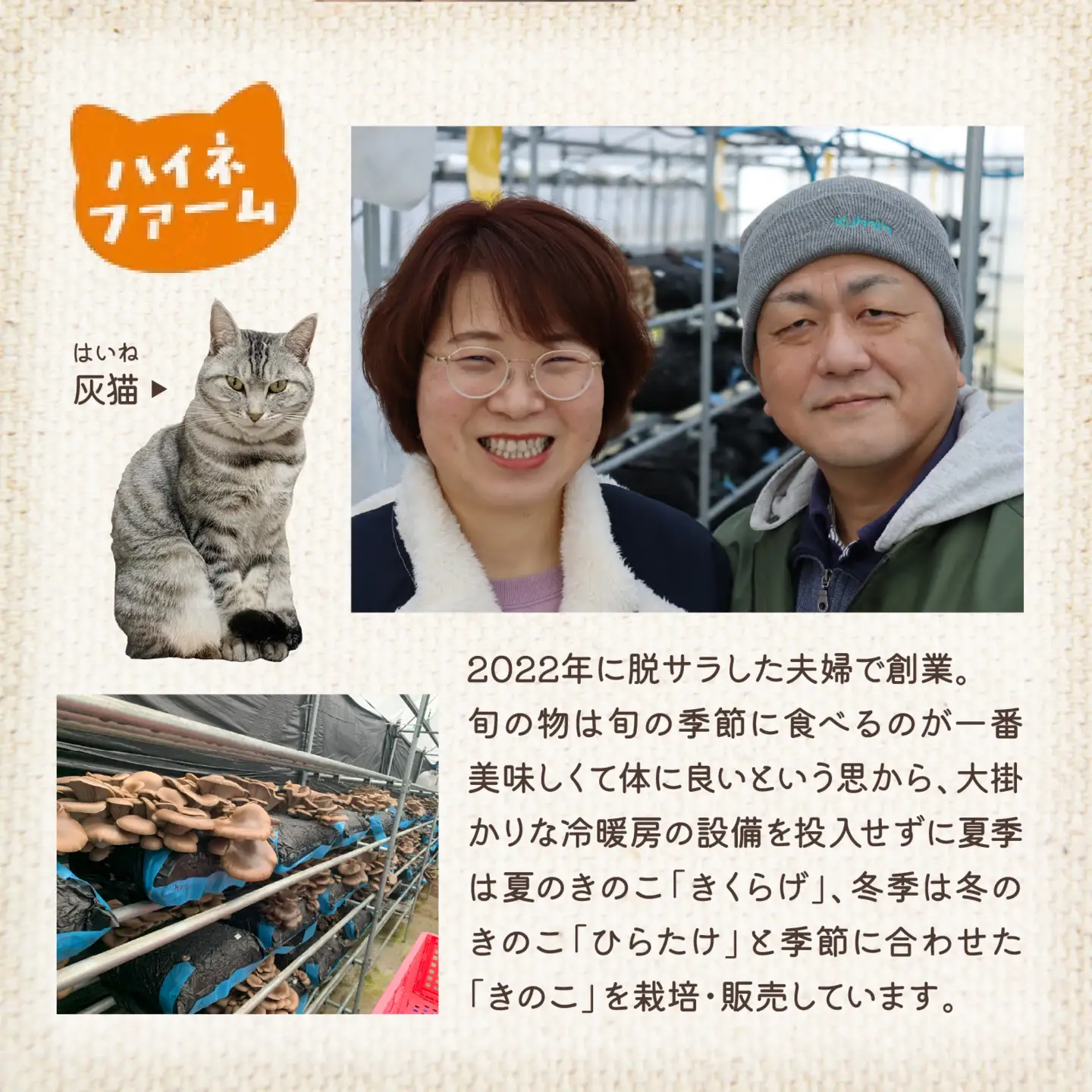 灰猫のきくらげカレー&ひらたけクリームスープのお試しセット