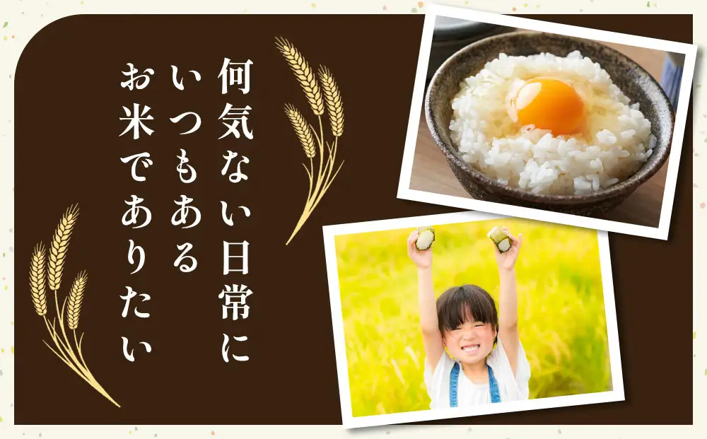 ミルキークイーン 3kg ×3袋 日置さん家のお米 精米 2026年産 ミルキークイーン 米