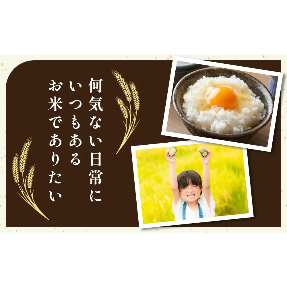 219.日置さん家のお 米 「 縁結び 」5kg×2袋【 精米 ・2026年産】 | 米