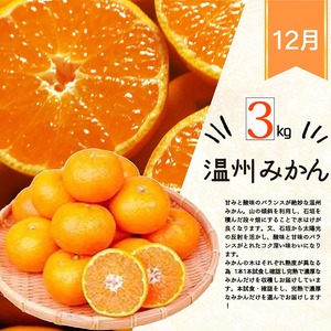 〈定期便〉【8・9・12月 全3回】紀州和歌山産旬のフルーツセット(種なし巨峰・シャイン・みかん) ※離島への配送不可