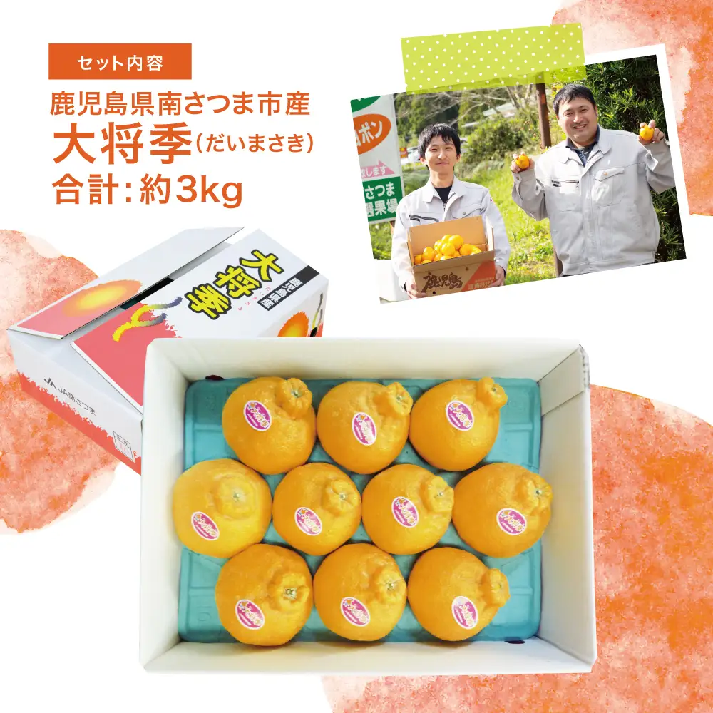 【2027年1月～3月発送】数量限定！不知火「大将季」（だいまさき）約3kg 果物 フルーツ 柑橘 みかん しらぬい 鹿児島県産