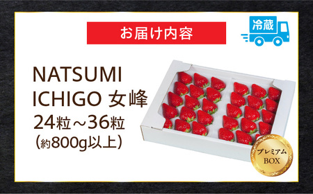 ≪先行予約≫ NATSUMI ICHIGO 女峰 約800g以上 プレミアムBOX 【2027年1～6月配送】 | スイーツ いちご ストロベリー 女峰 苺 冷蔵 フルーツ 旬 果物 香川県 酸味 甘味 デザート 色 鮮やか 青果物 贈答 プレゼント 贈り物 旬 おすすめ |_mk060-004
