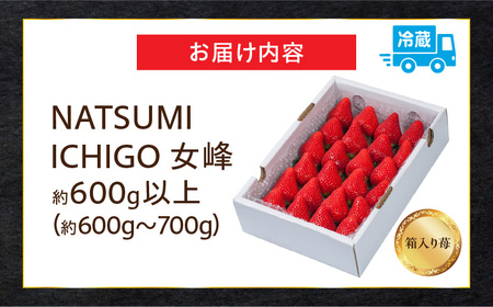 ≪先行予約≫ NATSUMI ICHIGO 女峰 約600g以上 （2027年1月～6月配送） いちご フルーツ 果物 _mk060-002