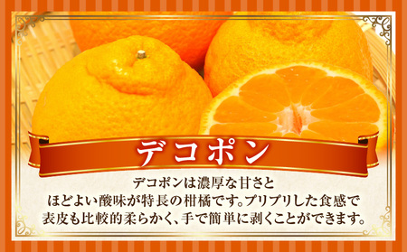 季節の恵み2回定期便B | フルーツ 果物 定期便 果物定期便 フルーツ定期便 定期 旬 旬の果物 デザート スイーツ イチゴ デコポン 柑橘 柑橘系 贈り物 贈答 ギフト グルメ 人気 おすすめ ご褒美 お取り寄せ 旬の定期便 厳選 香川県 三木町 |_mk165-t002