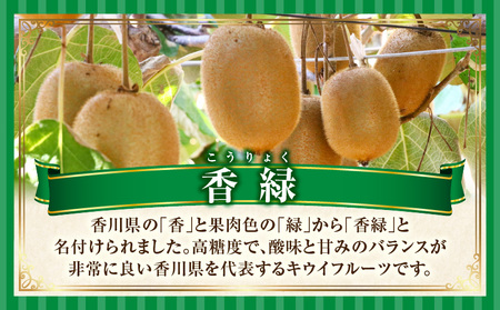 季節の恵み2回定期便C | 果物 スイーツ フルーツ デザート 旬の果物 旬のフルーツ 旬 定期便 果物定期便 旬のフルーツ定期便 フルーツ定期便 定期 厳選 キウイ イチゴ ご褒美 贈り物 贈答 ギフト 果実 香川県 三木町 |_mk165-t003