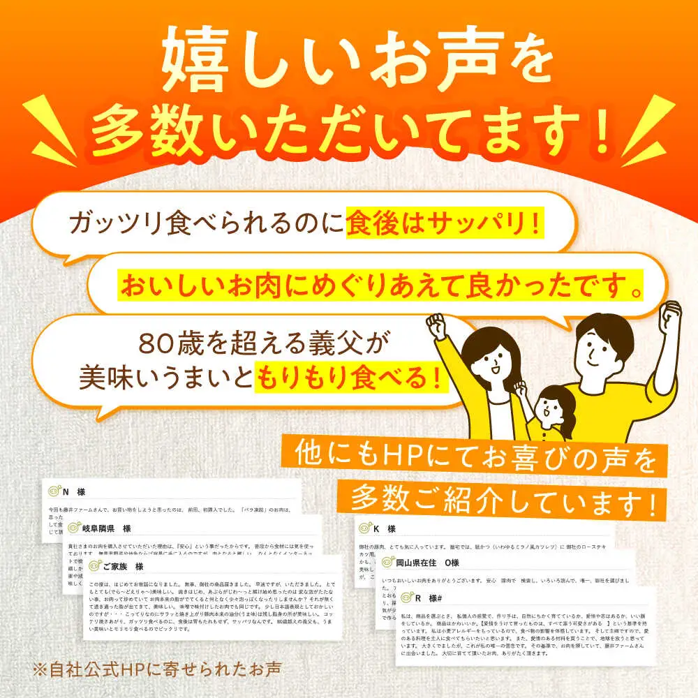豚肉 極上セット 6種 藤井ファーム [AWAF009]豚肉