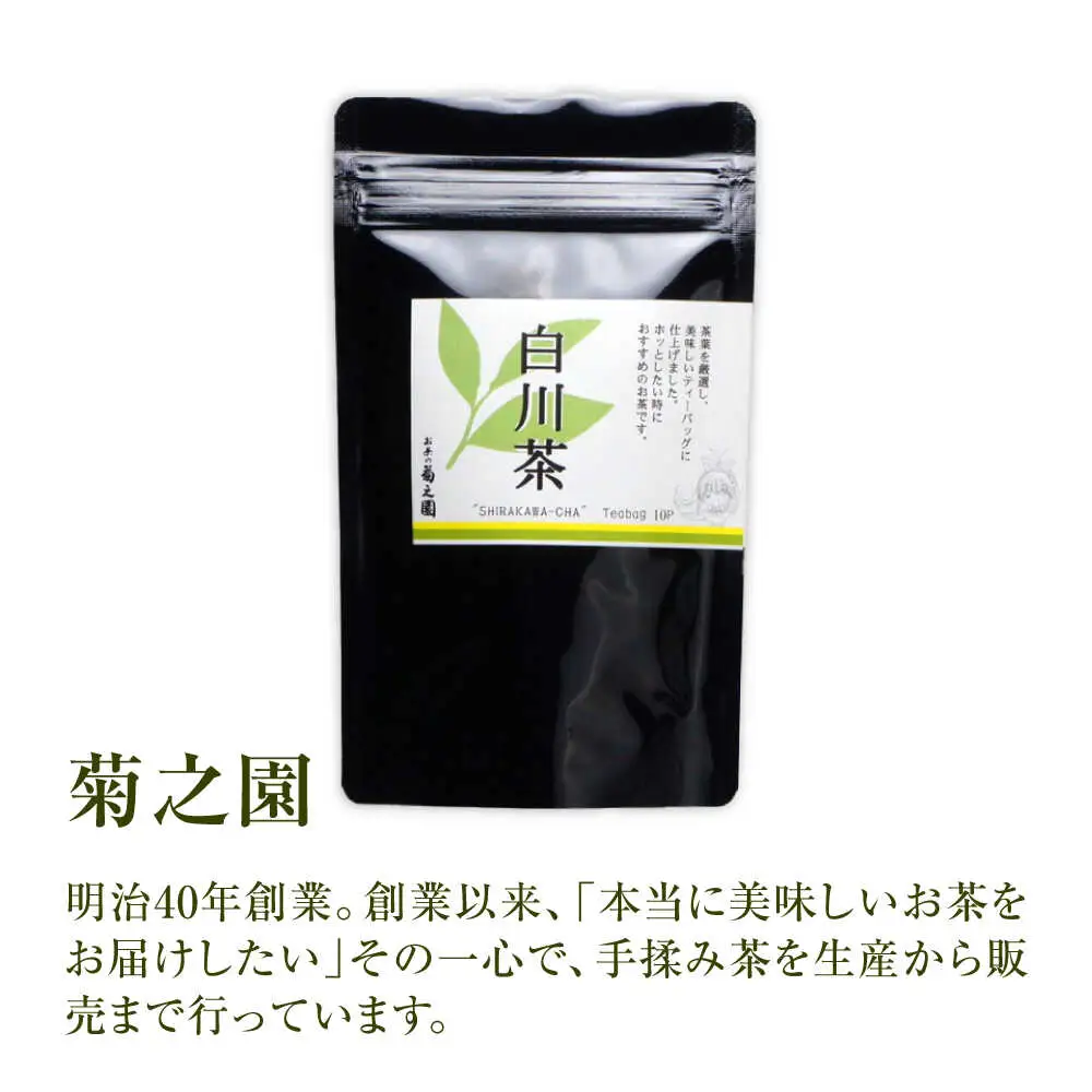 【6回定期便】煎茶 ティーバッグ 5袋 / 菊之園[AWAG006]煎茶