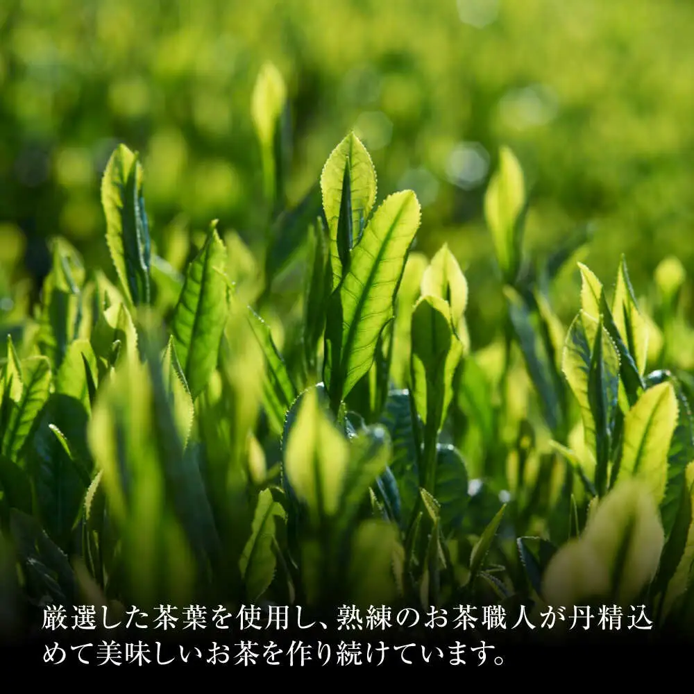 【6回定期便】本格 高級茶セット 100g×3袋 化粧箱入り / 菊之園[AWAG010]お茶ギフト