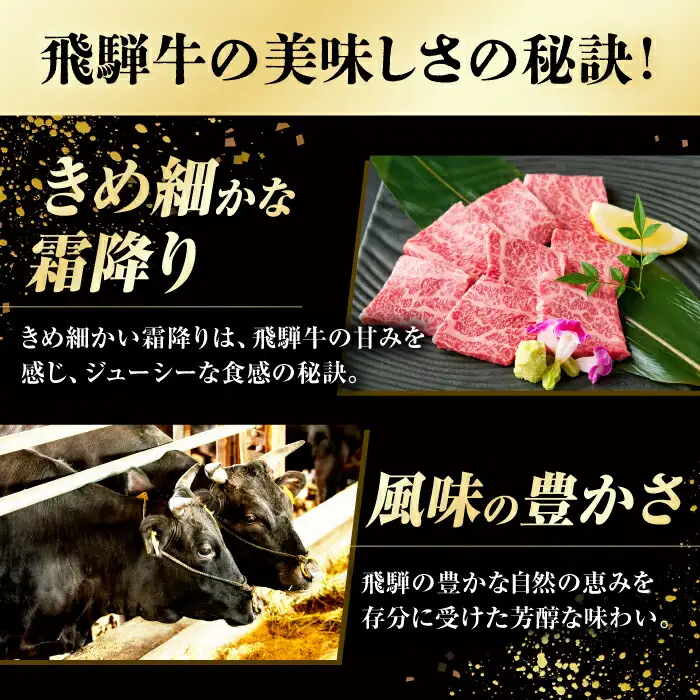飛騨牛 焼肉用赤身 600g / 浅井商店[AWBJ001]飛騨牛