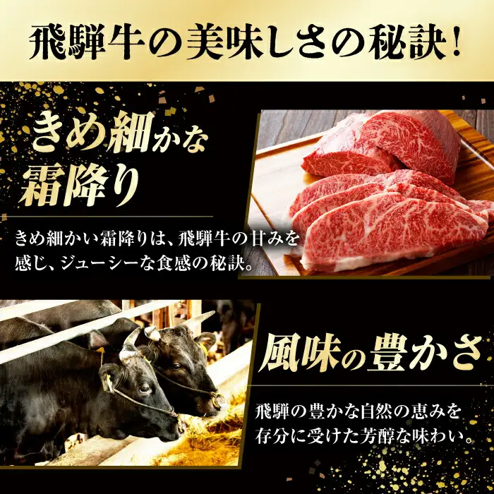 飛騨牛 ステーキ用計500g / 浅井商店[AWBJ007] 飛騨牛