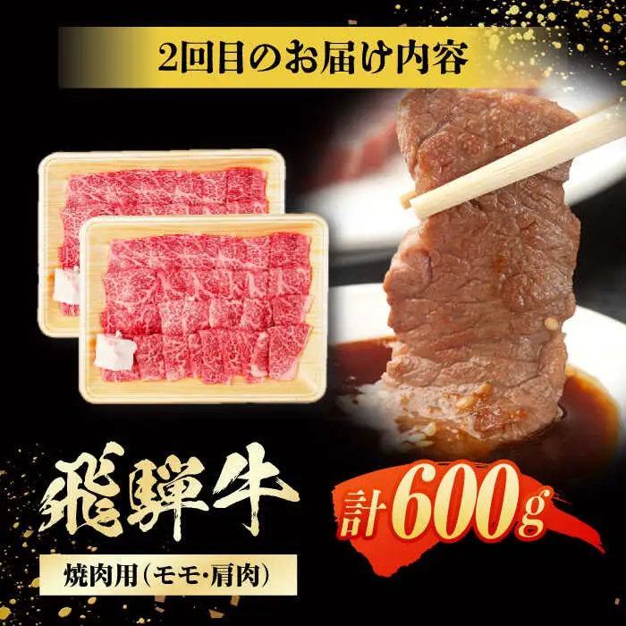 【3回定期便】 飛騨牛 モモ・肩肉 毎月600g / / 浅井商店[AWBJ008]