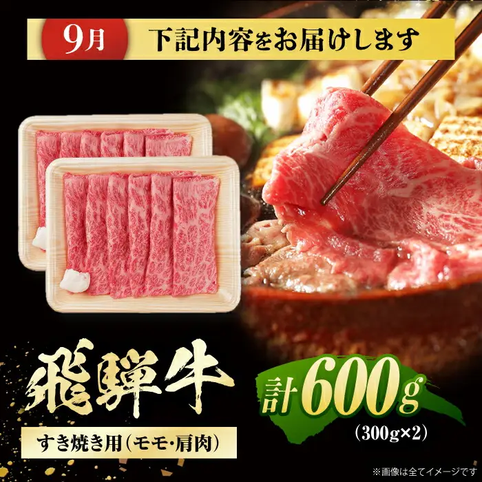 【4回定期便】 飛騨牛 モモ・肩肉 リブロースステーキ 計2.3kg / / 浅井商店[AWBJ010]