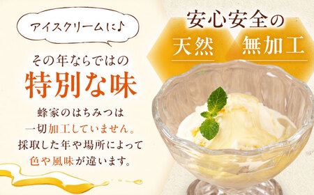 はちみつ 野山蜜 500g ×2本 [AJAS005] はちみつ 国産