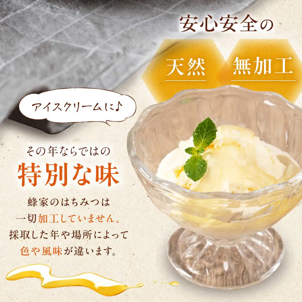 はちみつ しな蜜 500g 2本 はちみつ 国産 AJAS029