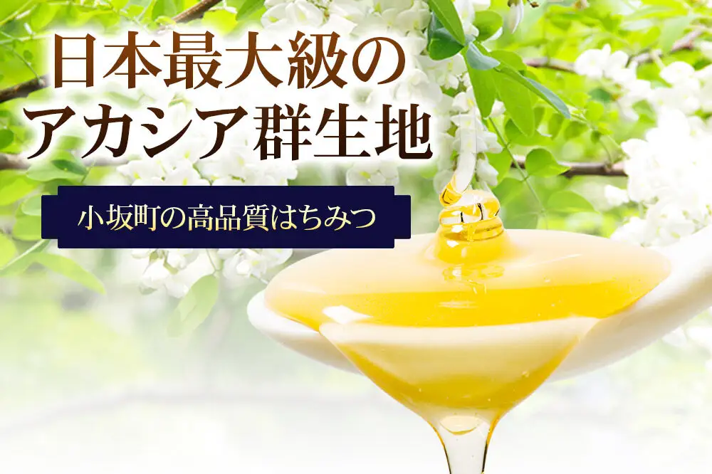 アカシアはちみつセット（800g×1個 420g×1個）アカシア蜂蜜 秋田県 小坂町