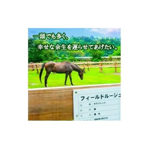【 支援 】 支援引退馬2千円
