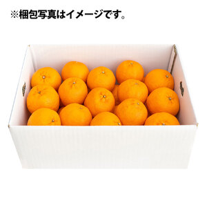 【令和9年1月発送】ぽんかん ３kg（谷川果樹園）デコポンの親  みかん 蜜柑 ミカン 不知火 しらぬい 柑橘 かんきつ ポンカン フルーツ オレンジ 果物 くだもの 果汁 甘い【R01376】