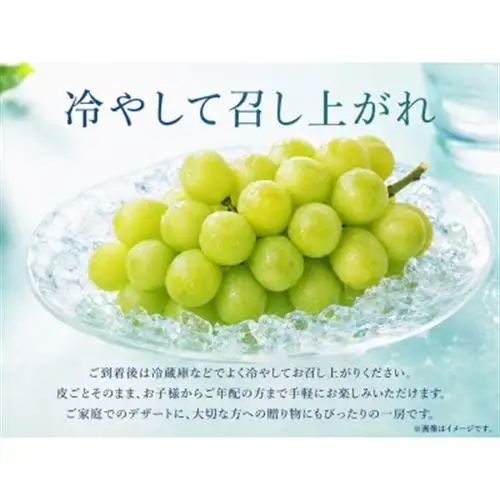 紀州かつらぎ山の瀬戸ジャイアンツ 約2kg【配送不可地域：離島・北海道・沖縄県】【1607881】