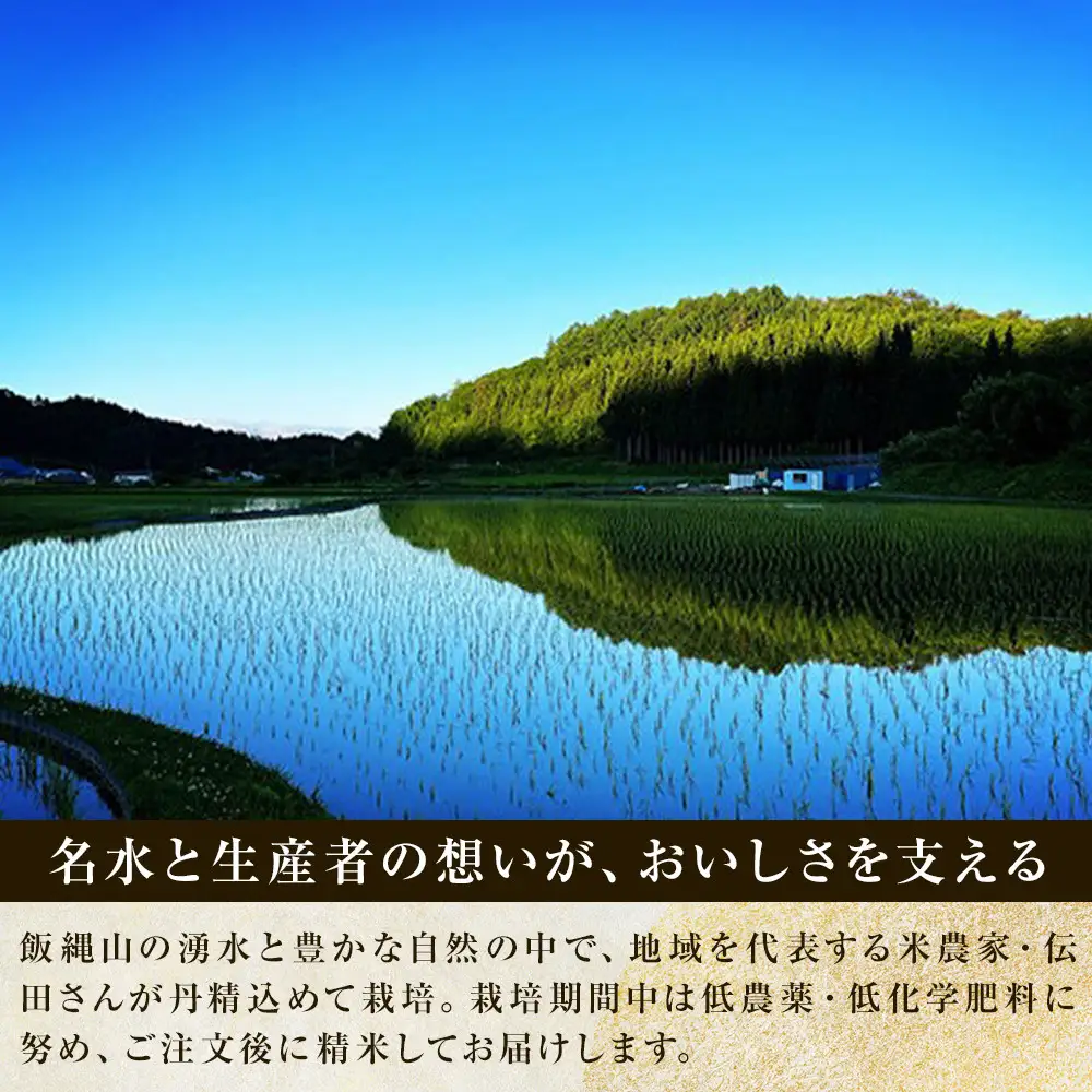 【令和8年産】信州長野市芋井産　あきたこまち　10Kg（5kg×2袋） | 米 あきたこまち 信州産 精米