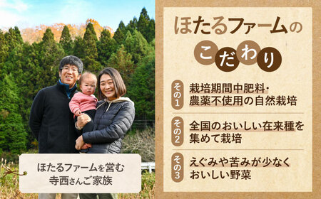 　【先行予約】　自然栽培のにんじん 5kg 多治見市 / ほたるファーム にんじん ニンジン 5キロ[TEB008]