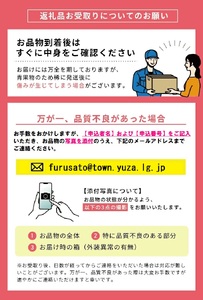 シャインマスカット 2～3房 約1.3kg 10月上旬～11月中旬頃お届け 山形県遊佐町産 冷蔵便 ※離島発送・着日指定不可 種無し 葡萄 ぶどう 果物 フルーツ 期間限定 農家直送 産地直送 山形県 遊佐町 庄内 秋 [1189]