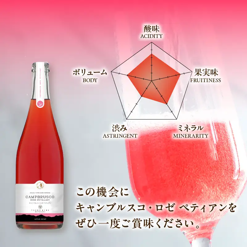 【数量限定】キャンブルスコ・ロゼ ペティアン (計1本) 酒 ワイン アルコール 国産_T014-0195
