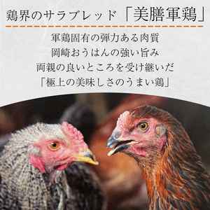 【美膳軍鶏総菜】特盛詰め合わせ（5種7商品）030-030