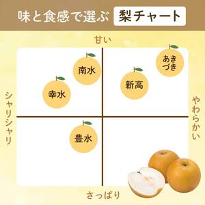 渡辺果樹園の南水梨 約3kg＜9月上旬～9月下旬にお届け＞ F7X-0884