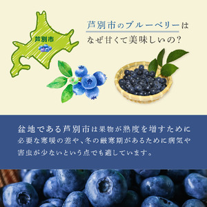 ブルーベリー 500g×2パック 計1kg 大粒 小粒