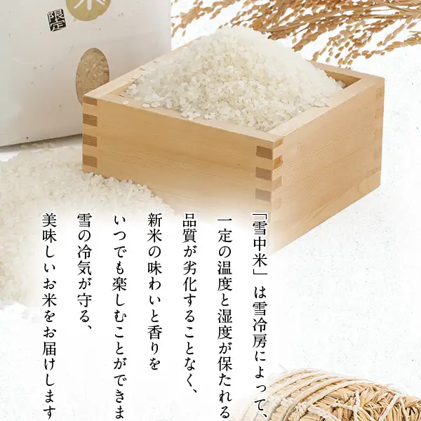 令和8年産 特Aランク米 ななつぼし 無洗米 10kg（5kg×2袋）【5月発送】
