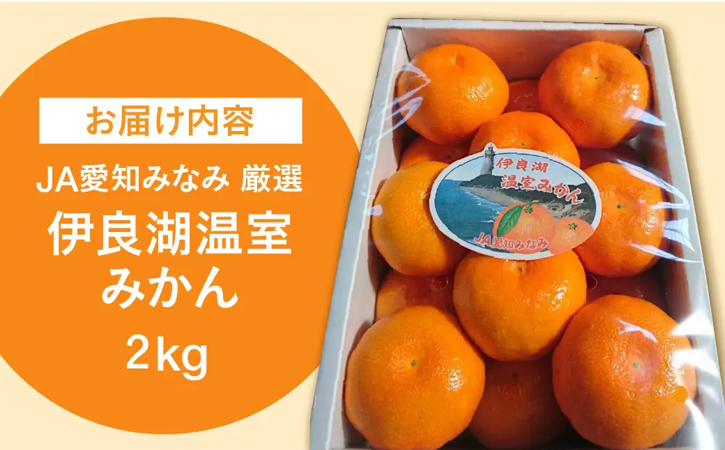 【先行予約】伊良湖 温室みかん 2kg みかん フルーツ