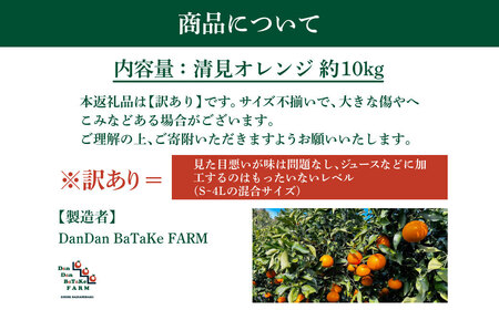 【先行予約】【訳あり】清見オレンジ 約10kg ※離島への配送不可　※2027年3月中旬より順次発送予定 IKTAU011