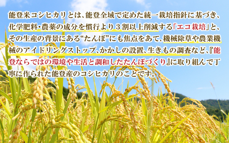 【新米】のと米 （新米/精米5kg）【2025年10月以降順次発送予定】｜米 こしひかり コシヒカリ 能登 のと お米 令和7年産