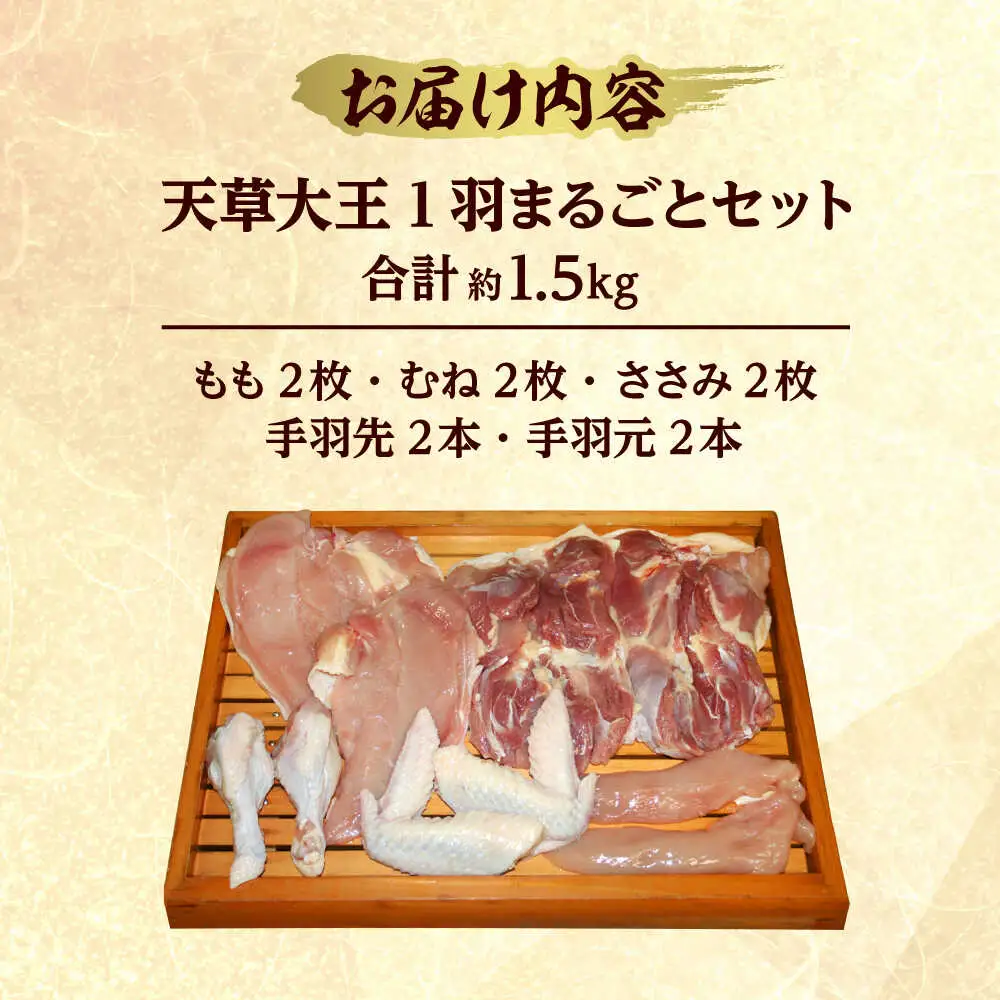 天草大王 1羽まるごとセット 計約1.5kg  鶏肉[AYAB011]