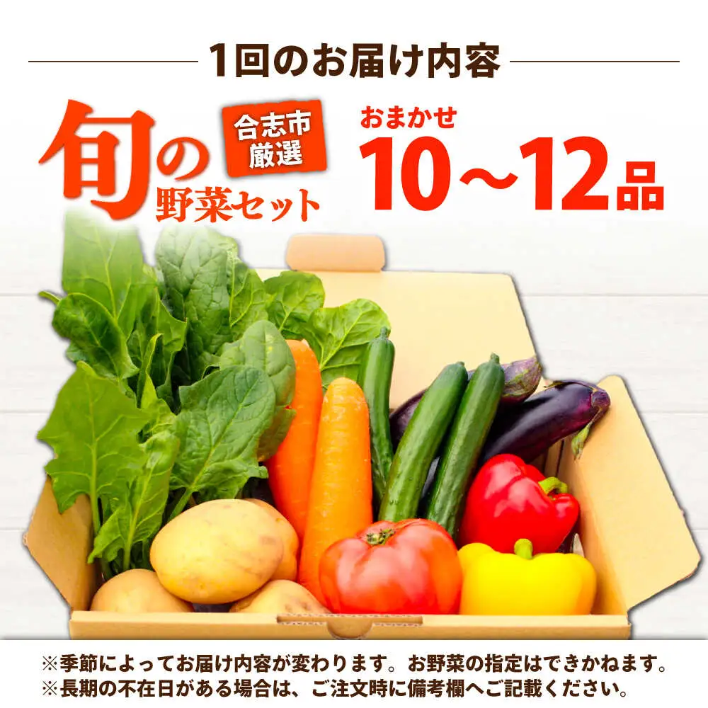 【年5回コース定期便】合志の旬のお野菜10品から12品目  野菜[AYAB020]