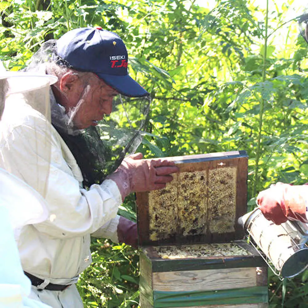 立山養蜂場 国産 百花 はちみつ300g はちみつ[AYAB039]